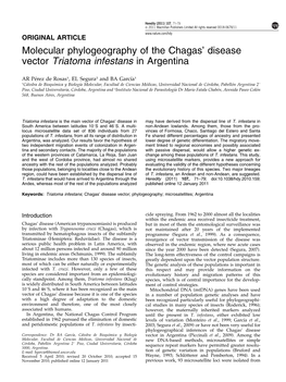 Disease Vector Triatoma Infestans in Argentina