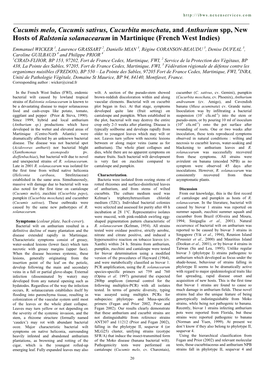 Cucumis Melo, Cucumis Sativus, Cucurbita Moschata, and Anthurium Spp, New Hosts of Ralstonia Solanacearum in Martinique (French West Indies)