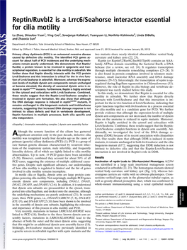 Reptin/Ruvbl2 Is a Lrrc6/Seahorse Interactor Essential for Cilia Motility