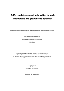 Clips Regulate Neuronal Polarization Through Microtubule and Growth Cone Dynamics” Selbständig Und Ohne Unerlaubte Hilfe Angefertigt Habe