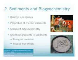 2. Sediments and Biogeochemistry