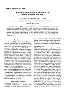 A Further Characterization of Yersinia Ruckeri (Enteric Redmouth Bacterium)