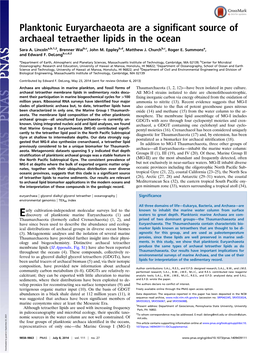 Planktonic Euryarchaeota Are a Significant Source of Archaeal Tetraether Lipids in the Ocean