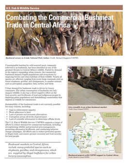 Commercial Bushmeat Trade in Central Africa