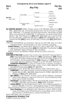 Bay Filly Barn 15 Hip No