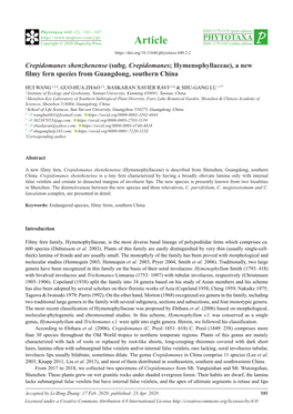 Crepidomanes Shenzhenense (Subg