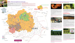 Gers / Route Des Vignobles De La Gascogne