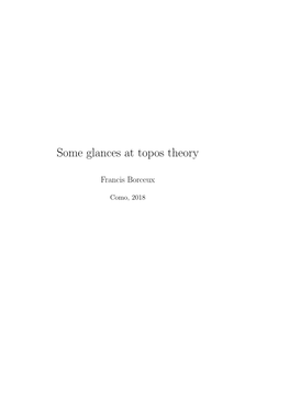 Some Glances at Topos Theory