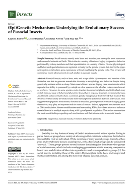 Genetic Mechanisms Underlying the Evolutionary Success of Eusocial Insects