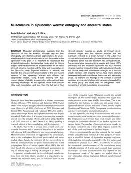 Musculature in Sipunculan Worms: Ontogeny and Ancestral States