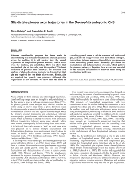 Glia Dictate Pioneer Axon Trajectories in the Drosophila Embryonic CNS