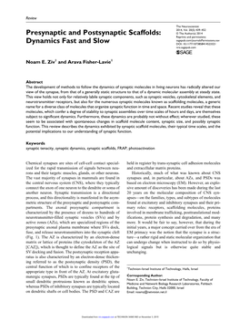 Presynaptic and Postsynaptic Scaffolds