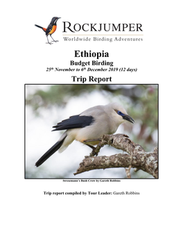 Ethiopia Budget Birding 25Th November to 6Th December 2019 (12 Days)