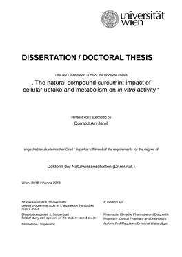 Dissertation / Doctoral Thesis