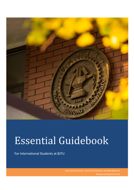 Essential Guidebook