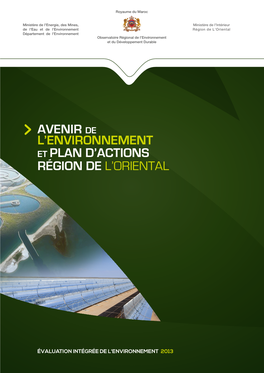 Avenir De L'environnement Et Plan D'actions Région De L