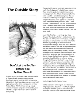 The Outside Story You’Ll Often Find Yourself in Botfly Larvae Season