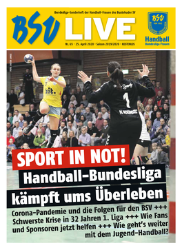 Kämpft Ums Überleben Handball-Bundesliga