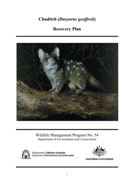 Chuditch (Dasyurus Geoffroii) Recovery Plan