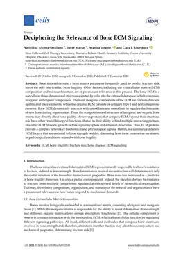 Deciphering the Relevance of Bone ECM Signaling