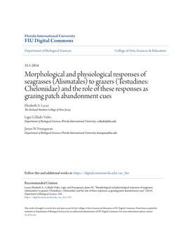 Morphological and Physiological Responses of Seagrasses