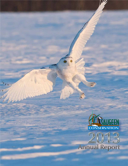 2013 Annual Report