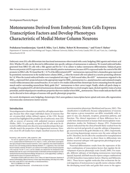 Motoneurons Derived from Embryonic Stem Cells Express Transcription Factors and Develop Phenotypes Characteristic of Medial Motor Column Neurons