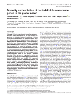 Diversity and Evolution of Bacterial