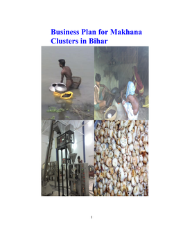 Business Plan for Makhana Clusters in Bihar