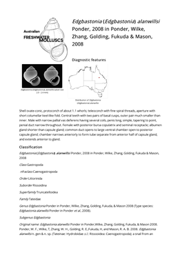 Edgbastonia (Edgbastonia) Alanwillsi Ponder, 2008 in Ponder, Wilke, Zhang, Golding, Fukuda & Mason, 2008