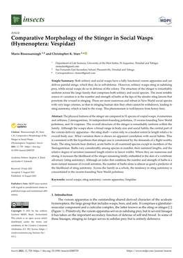 Comparative Morphology of the Stinger in Social Wasps (Hymenoptera: Vespidae)