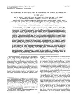 Palindrome Resolution and Recombination in the Mammalian Germ Line ERCAN AKGU¨ N,1† JEFFREY ZAHN,1 SUSAN BAUMES,1 GREG BROWN,2 FENG LIANG,1 1 2 1 PETER J