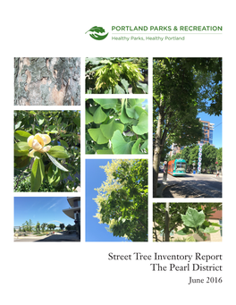 Street Tree Inventory Report the Pearl District June 2016 Street Tree Inventory Report: the Pearl District June 2016