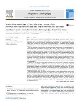 Marine Litter on the Floor of Deep Submarine Canyons Of