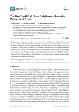 The First Fossil Owl (Aves, Strigiformes) from the Paleogene of Africa