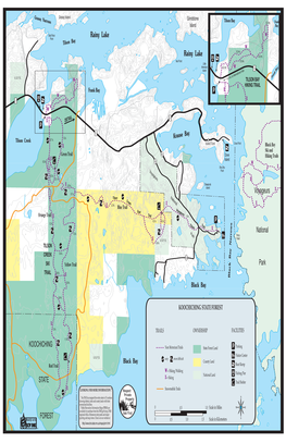 Koochiching State Forest