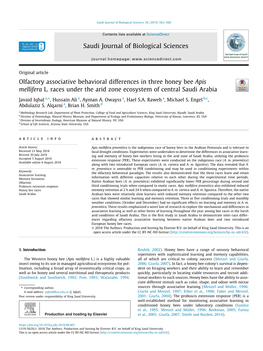 Olfactory Associative Behavioral Differences in Three Honey Bee Apis Mellifera L