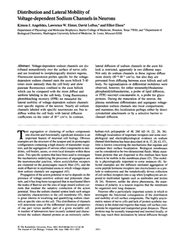 Distribution and Lateral Mobility of Voltage-Dependent Sodium Channels in Neurons Kimon J