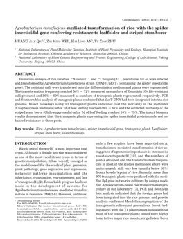 Agrobacterium Tumefaciens-Mediated Transformation of Rice with the Spider Insecticidal Gene Conferring Resistance to Leaffolder and Striped Stem Borer