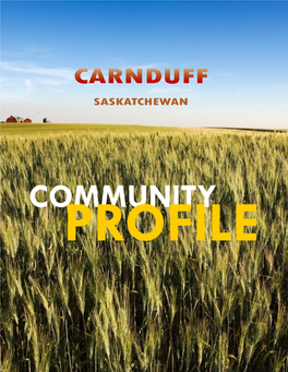 Community Profile