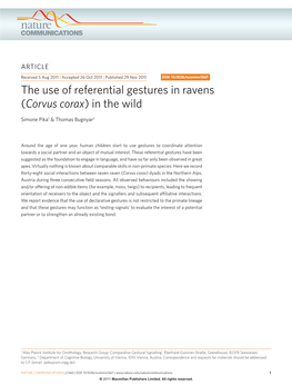 The Use of Referential Gestures in Ravens (Corvus Corax) in the Wild