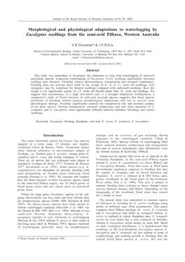 Morphological and Physiological Adaptations to Waterlogging by Eucalyptus Seedlings from the Semi-Arid Pilbara, Western Australia