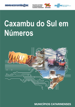 Caxambu Do Sul Em Números