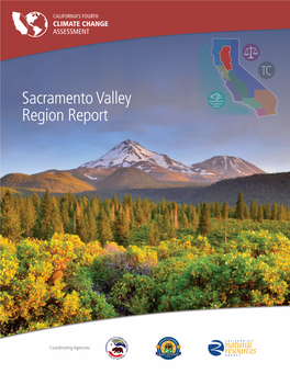 Sacramento Valley Region Report