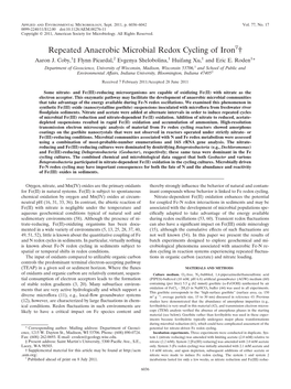 Repeated Anaerobic Microbial Redox Cycling of Iron †