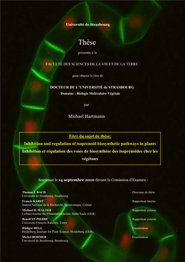 Inhibition and Regulation of Isoprenoid Biosynthetic Pathways in Plants Inhibition Et Régulation Des Voies De Biosynthèse Des Isoprénoïdes Chez Les Végétaux