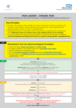 Chronic Pain Ladder