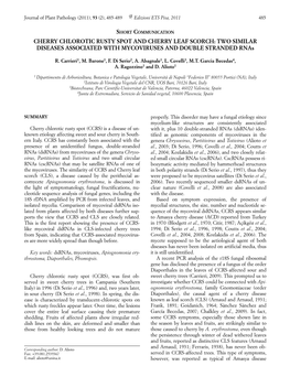 CHERRY CHLOROTIC RUSTY SPOT and CHERRY LEAF SCORCH: TWO SIMILAR DISEASES ASSOCIATED with MYCOVIRUSES and DOUBLE STRANDED Rnas