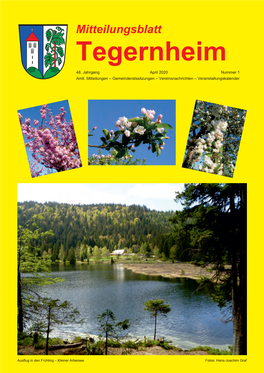 Mitteilungsblatt 1/2020