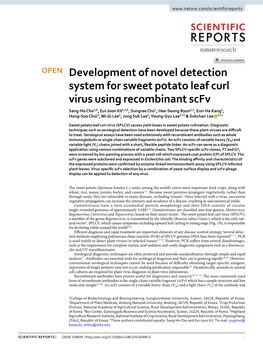 Development of Novel Detection System for Sweet Potato Leaf Curl